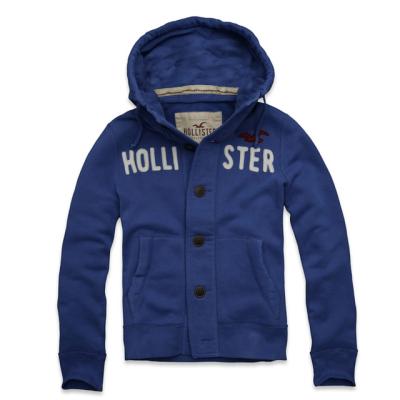 Hollister Men Hoodies-76